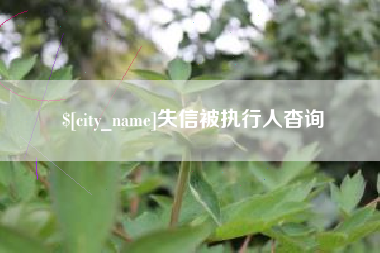 海安失信被执行人杳询