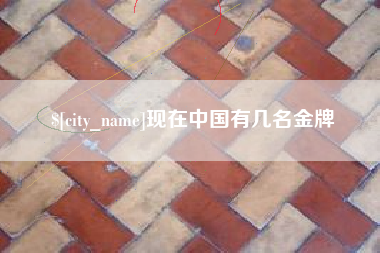 海安现在中国有几名金牌