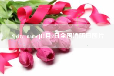 海安11月9日全国消防日图片