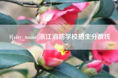 海安浙江消防学校招生分数线