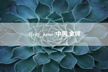 海安中国,金牌
