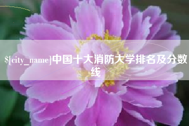 海安中国十大消防大学排名及分数线