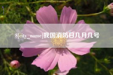 海安我国消防日几月几号