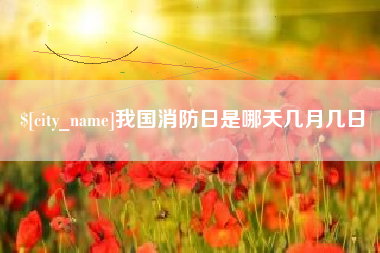 海安我国消防日是哪天几月几日