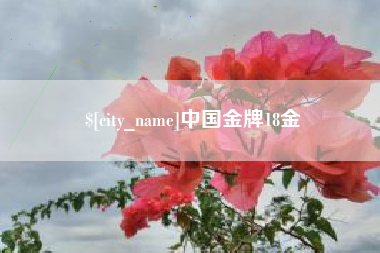 海安中国金牌18金