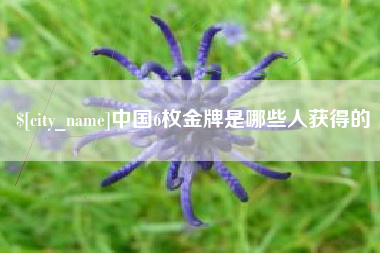 海安中国6枚金牌是哪些人获得的