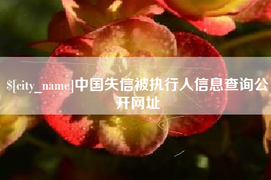 海安中国失信被执行人信息查询公开网址