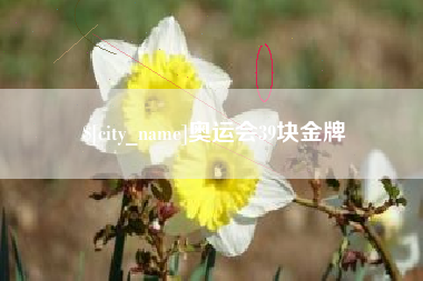 海安奥运会39块金牌