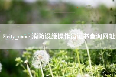 海安消防设施操作员证书查询网址
