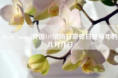 海安我国119消防日宣传日是每年的几月几日