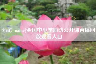 海安全国中小学消防公开课直播回放观看入口