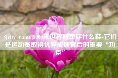 海安5000米世界冠军穿什么鞋-它们是运动员取得优异成绩背后的重要“功臣”