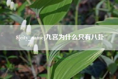 海安九宫为什么只有八卦