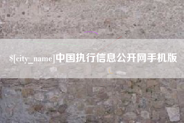 海安中国执行信息公开网手机版