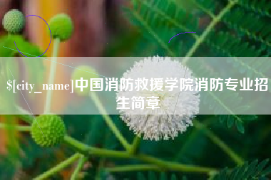 海安中国消防救援学院消防专业招生简章
