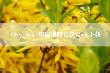 海安中国消防公众号app下载