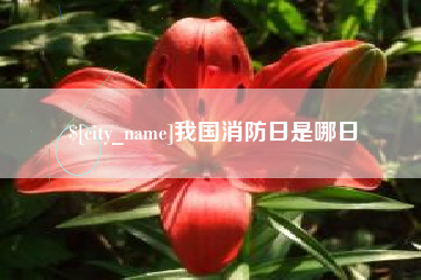 海安我国消防日是哪日