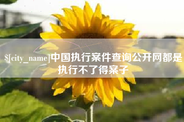 海安中国执行案件查询公开网都是执行不了得案子