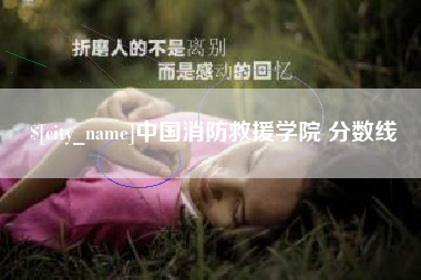 海安中国消防救援学院 分数线