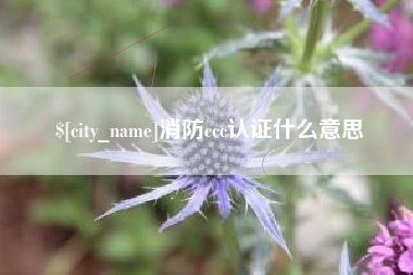 海安消防ccc认证什么意思