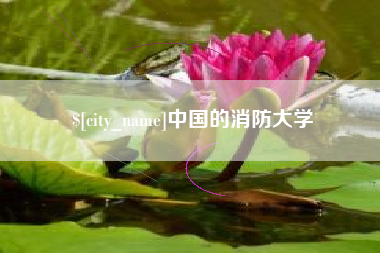 海安中国的消防大学