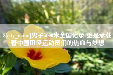 海安男子5000米全国记录-更是承载着中国田径运动员们的热血与梦想