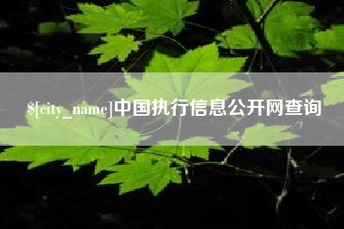 海安中国执行信息公开网查询