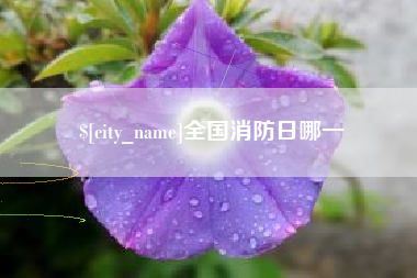 海安全国消防日哪一