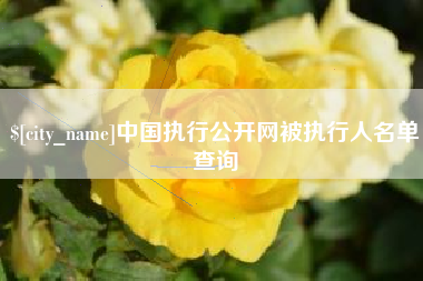 海安中国执行公开网被执行人名单查询