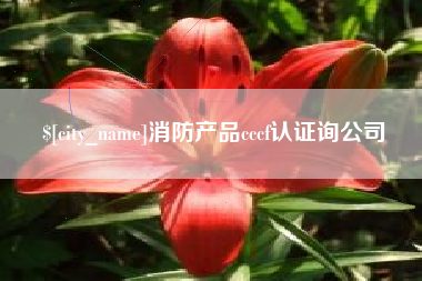 海安消防产品cccf认证询公司