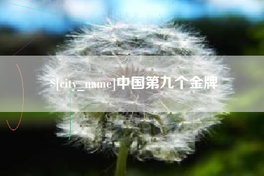 海安中国第九个金牌