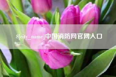 海安中国消防网官网入口