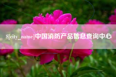 海安中国消防产品信息查询中心
