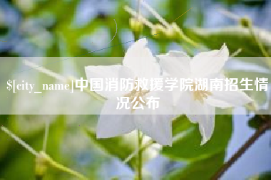 海安中国消防救援学院湖南招生情况公布