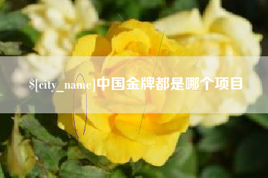 海安中国金牌都是哪个项目