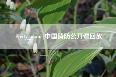 海安中国消防公开课回放