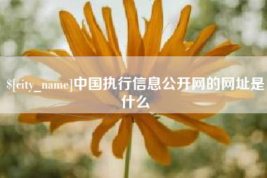 海安中国执行信息公开网的网址是什么