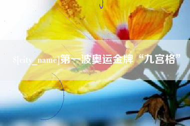 海安第一波奥运金牌“九宫格”