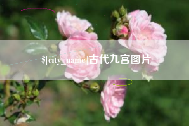 海安古代九宫图片