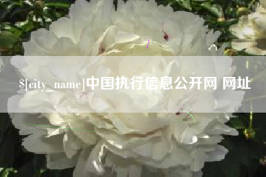 海安中国执行信息公开网 网址