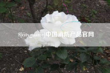 海安中国消防产品官网