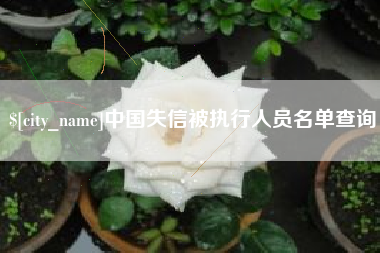 海安中国失信被执行人员名单查询