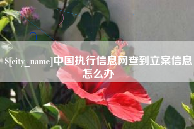 海安中国执行信息网查到立案信息怎么办