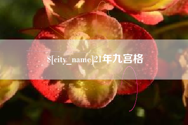 海安21年九宫格