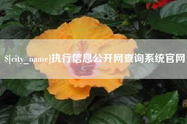 海安执行信息公开网查询系统官网