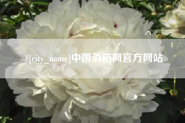 海安中国消防网官方网站