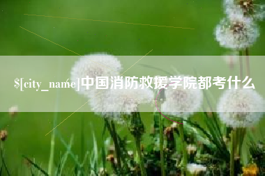 海安中国消防救援学院都考什么
