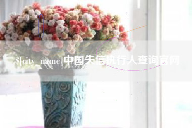海安中国失信执行人查询官网