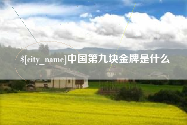 海安中国第九块金牌是什么
