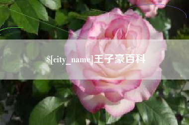 海安王子豪百科